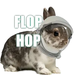 Flop Hop